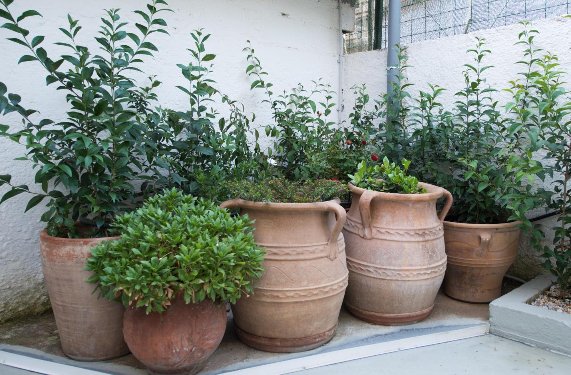 Cityscape House Chania  Exterior foto